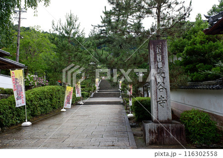 奈良県　長谷寺参道 116302558