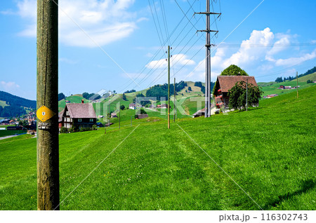 牧草地の中のハイキングコース【スイス/アッペンツェル地方】 116302743