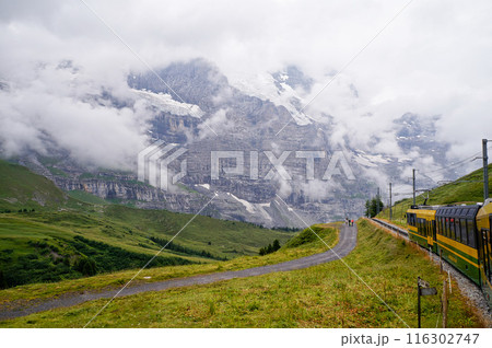曇天のアルプスハイキングコース【スイス/クライネ・シャイデック】 曇天のアルプスハイキングコース【スイス/クライネ・シャイデック】 116302747