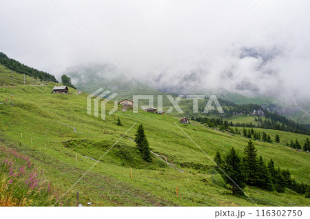 曇天のアルプスハイキングコース【スイス/クライネ・シャイデック】 曇天のアルプスハイキングコース【スイス/クライネ・シャイデック】 116302750