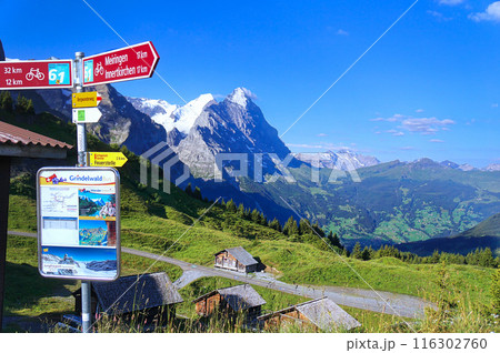 グロッセ・シャイデックバス停留所からの風景【スイス/グリンデルワルト】 116302760