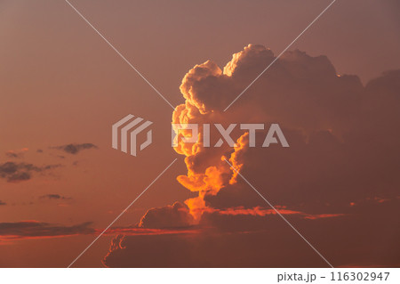 夏の夕暮れの北の空に湧き上がる積乱雲　b-5 暖色 高彩度 116302947