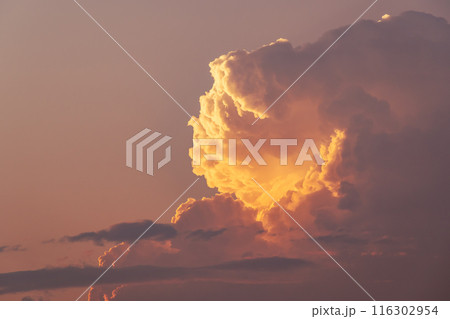 夏の夕暮れの北の空に湧き上がる積乱雲　c-4 暖色 116302954