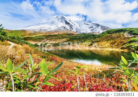 北海道 旭岳 ~初冠雪の山頂と紅葉の鏡池~ 北海道 旭岳 ~初冠雪の山頂と紅葉の鏡池~ 116303031