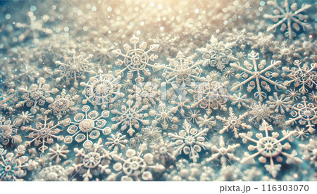 雪の結晶が降り積もる背景 116303070