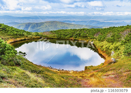 北海道 旭岳 ~初冠雪の山頂と紅葉の満月沼~ 北海道 旭岳 ~初冠雪の山頂と紅葉の満月沼~ 116303079