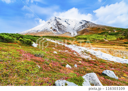 北海道 旭岳 ~冠雪と紅葉のコントラスト~ 北海道 旭岳 ~冠雪と紅葉のコントラスト~ 116303109