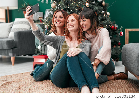 Christmas selfie, happy and women in home for celebration together and social media update for memory. Female people, smile and group of friends for festive holiday party or video call with contact 116303134