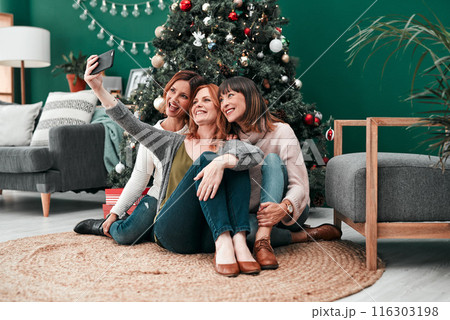 Christmas selfie, smile and women in home for celebration together and social media update for memory. Female people, happy and group of friends for festive holiday party or video call with contact 116303198