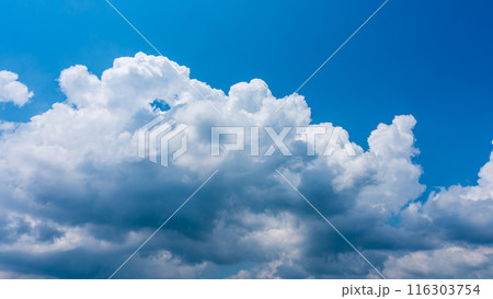 夏の青空にもくもくとあらわれた白い雲 116303754