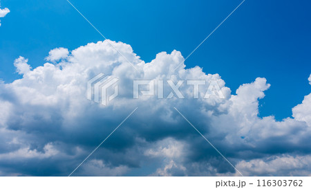 夏の青空にもくもくとあらわれた白い雲 夏の青空にもくもくとあらわれた白い雲 116303762