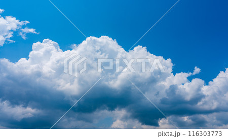 夏の青空にもくもくとあらわれた白い雲 116303773