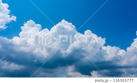 夏の青空にもくもくとあらわれた白い雲 116303777