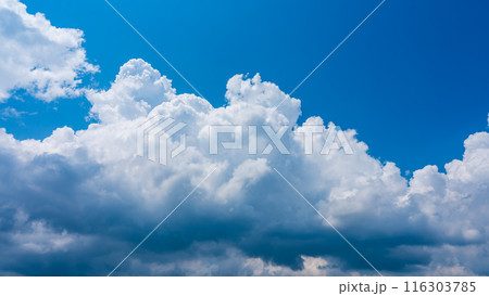 夏の青空にもくもくとあらわれた白い雲 116303785
