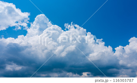 夏の青空にもくもくとあらわれた白い雲 夏の青空にもくもくとあらわれた白い雲 116303787