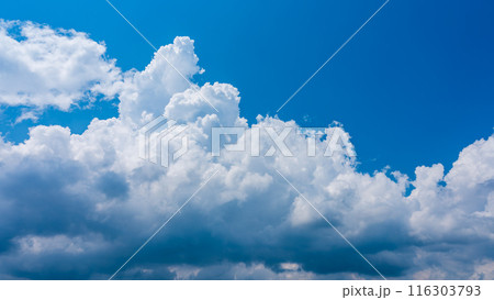 夏の青空にもくもくとあらわれた白い雲 夏の青空にもくもくとあらわれた白い雲 116303793