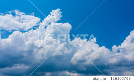 夏の青空にもくもくとあらわれた白い雲 116303798