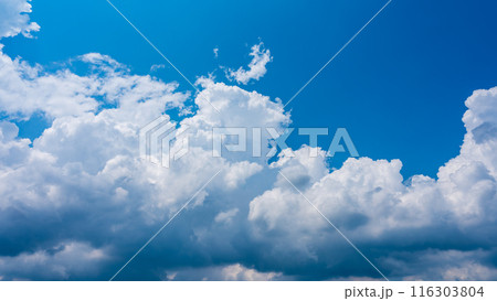 夏の青空にもくもくとあらわれた白い雲 夏の青空にもくもくとあらわれた白い雲 116303804