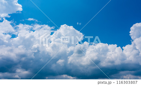 夏の青空にもくもくとあらわれた白い雲 116303807