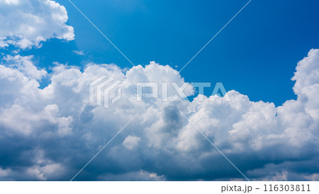 夏の青空にもくもくとあらわれた白い雲 夏の青空にもくもくとあらわれた白い雲 116303811
