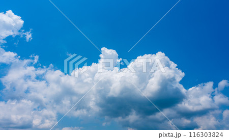夏の青空にもくもくとあらわれた白い雲 116303824