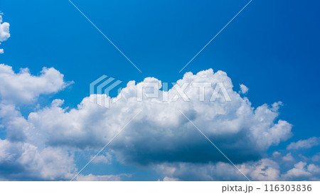 夏の青空にもくもくとあらわれた白い雲 夏の青空にもくもくとあらわれた白い雲 116303836