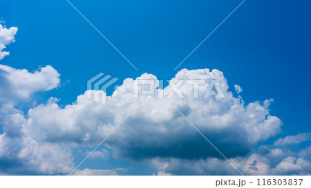 夏の青空にもくもくとあらわれた白い雲 夏の青空にもくもくとあらわれた白い雲 116303837