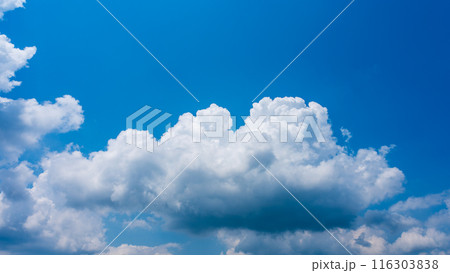 夏の青空にもくもくとあらわれた白い雲 116303838