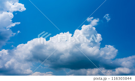 夏の青空にもくもくとあらわれた白い雲 116303844