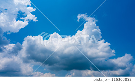 夏の青空にもくもくとあらわれた白い雲 116303852