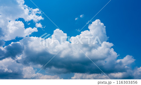夏の青空にもくもくとあらわれた白い雲 116303856