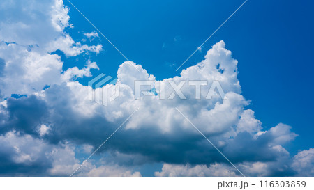 夏の青空にもくもくとあらわれた白い雲 夏の青空にもくもくとあらわれた白い雲 116303859
