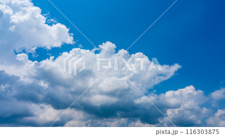 夏の青空にもくもくとあらわれた白い雲 夏の青空にもくもくとあらわれた白い雲 116303875