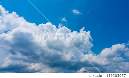 夏の青空にもくもくとあらわれた白い雲 夏の青空にもくもくとあらわれた白い雲 116303977