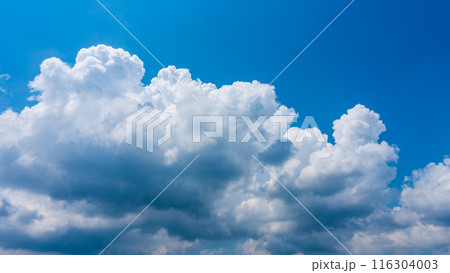 夏の青空にもくもくとあらわれた白い雲 116304003