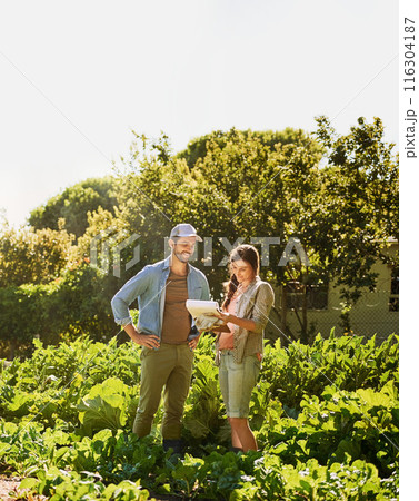 Agriculture, farmer and partner in discussion with paper for plant growth or harvest vegetables in nature. Man, woman and happy couple at garden farm together for planning food production at field 116304187