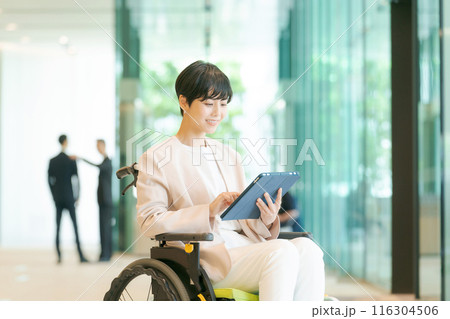 オフィスで働く車椅子の女性 オフィスで働く車椅子の女性 116304506