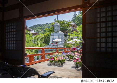 壷阪寺　地蔵堂から見る大釈迦如来石像と紫陽花 116304612