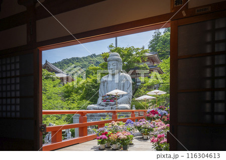 壷阪寺　地蔵堂から見る大釈迦如来石像と紫陽花 116304613