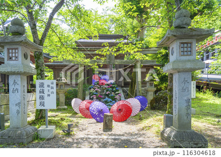 壷阪寺　龍蔵宮と紫陽花 116304618