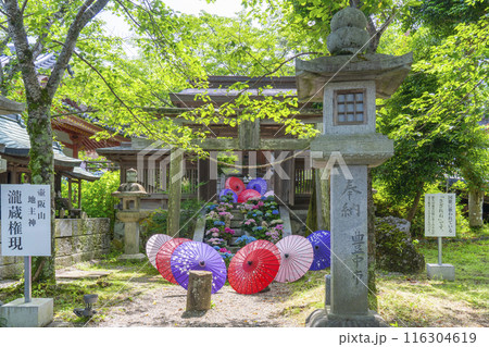 壷阪寺　龍蔵宮と紫陽花 116304619
