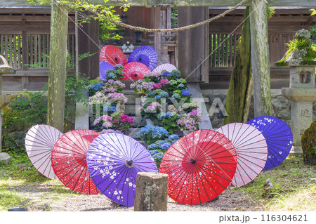 壷阪寺　龍蔵宮と紫陽花 116304621