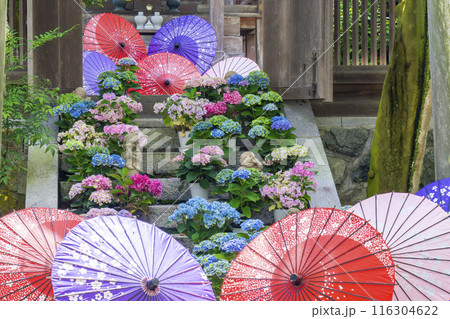 壷阪寺　龍蔵宮と紫陽花 116304622