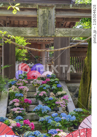 壷阪寺　龍蔵宮と紫陽花 116304628