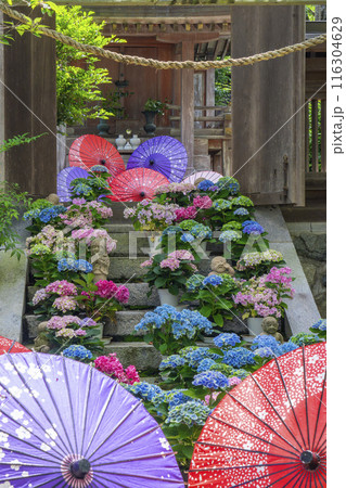 壷阪寺　龍蔵宮と紫陽花 116304629