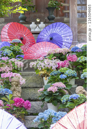 壷阪寺 龍蔵宮と紫陽花 壷阪寺 龍蔵宮と紫陽花 116304665