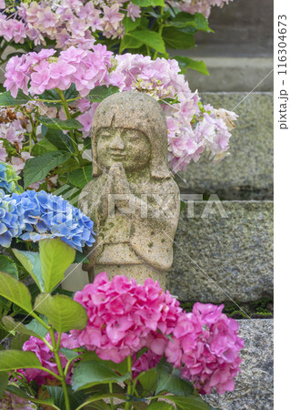 壷阪寺　龍蔵宮と紫陽花 116304673