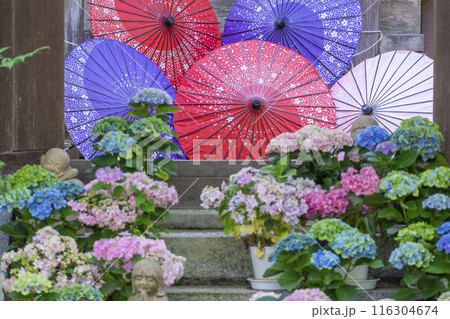 壷阪寺　龍蔵宮と紫陽花 116304674