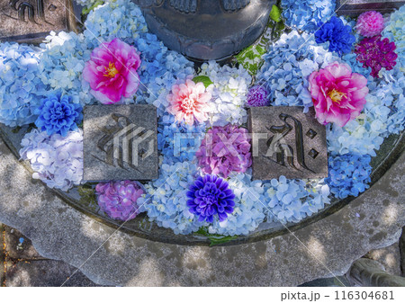 壷阪寺 花手水と菩薩像 壷阪寺 花手水と菩薩像 116304681