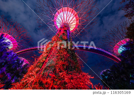 シンガポール ガーデンズ・バイ・ザ・ベイのナイトショー シンガポール ガーデンズ・バイ・ザ・ベイのナイトショー 116305169